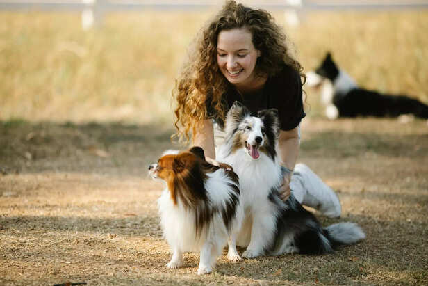 Pet
