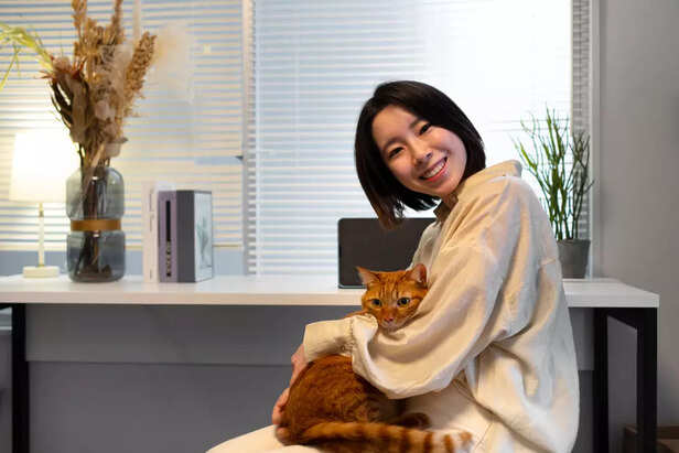 How to Keep Your Cat Happ