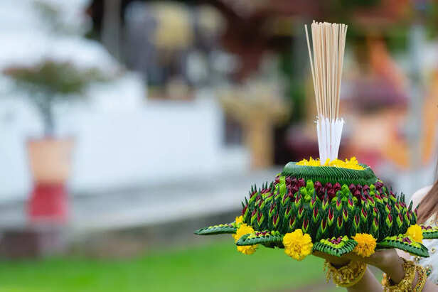 Yercaud Summer Festival