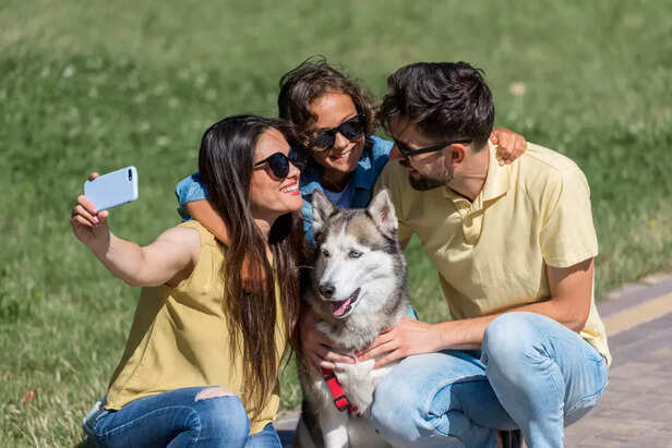 Pet-Friendly Summer Festi