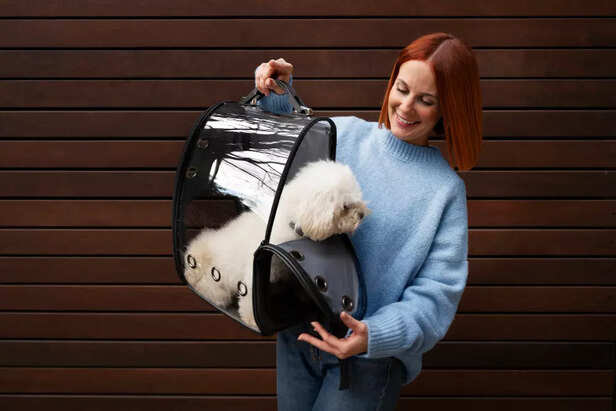 In-Cabin vs Cargo Travel