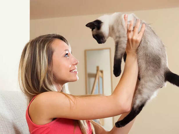 Welcoming a Rare Cat Bree