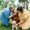 Image showcasing Shocking Truth Behind Why Dogs Love Eating Grass!
