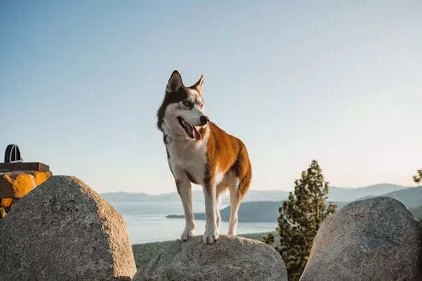 Image Div