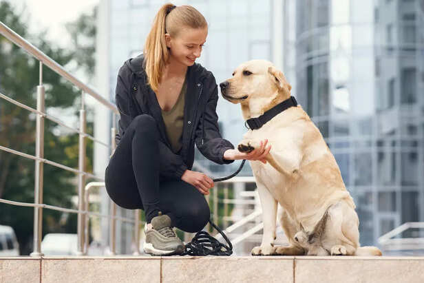 Know Your Dog's Health an
