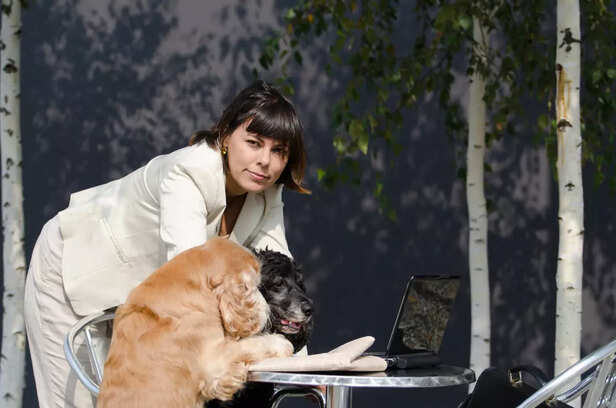 Choosing the Right Breed 