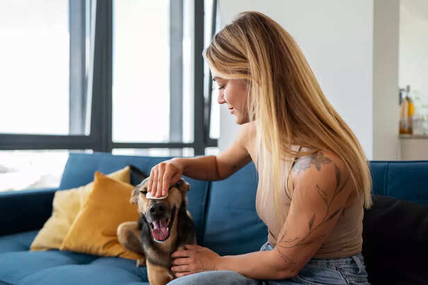 Training Techniques to Co
