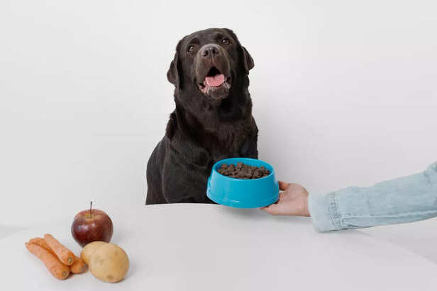 The Right Diet and Health