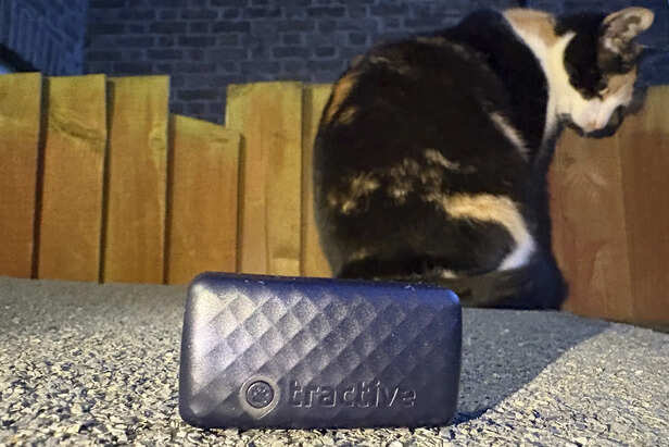 Pet carrries