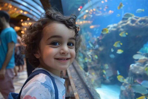 Keep Fish Calm and Health