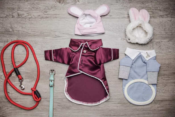Coat for Your Dog