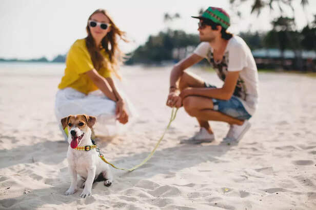 Why Goa is the Perfect Pe