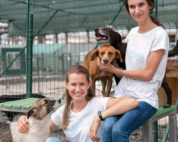 Why People Support Pets i