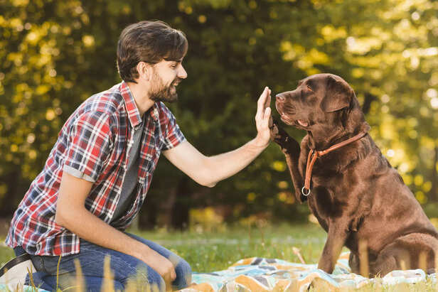 Man bonding with pet dog