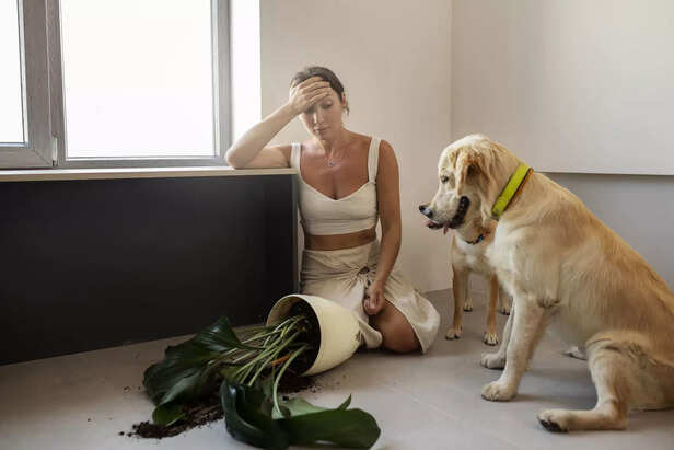 Woman reacts to dog's mes