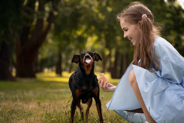 feed a Doberman for a hea