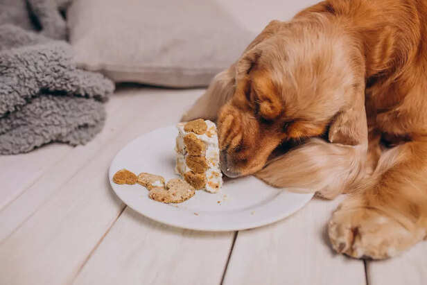 Baking soda poisoning in 