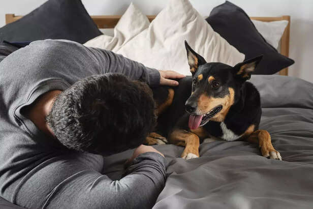 Man calming his dog