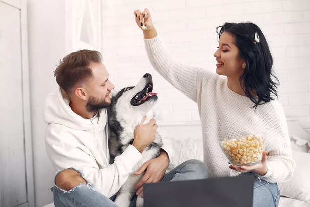 Couple feeding the dog