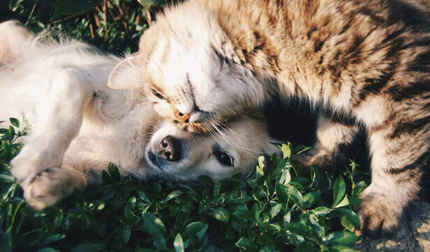 play time
