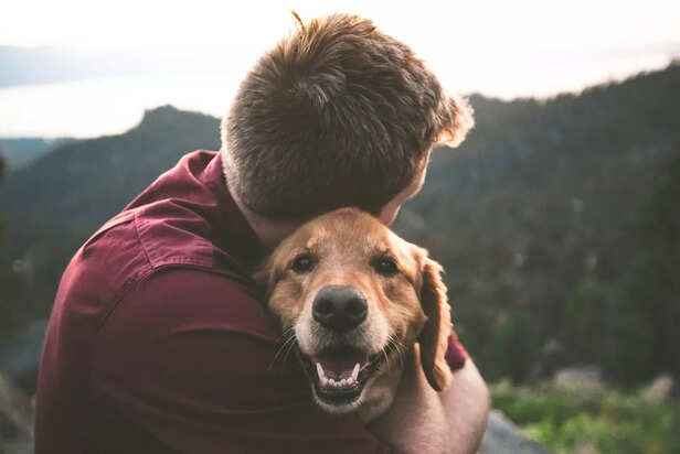 hugs