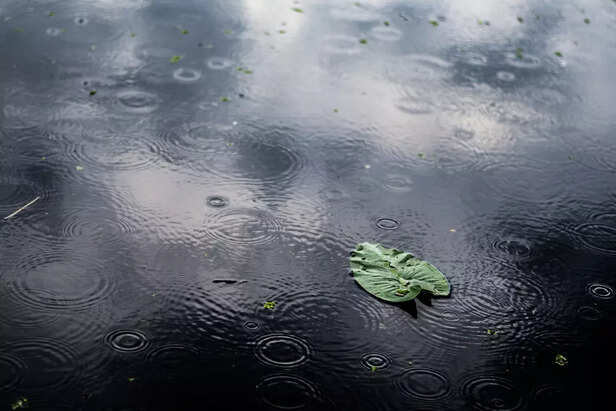 Rainwater