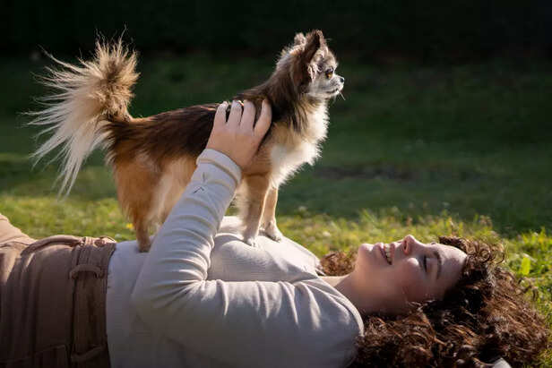 Dogs Can Smell Human Emot