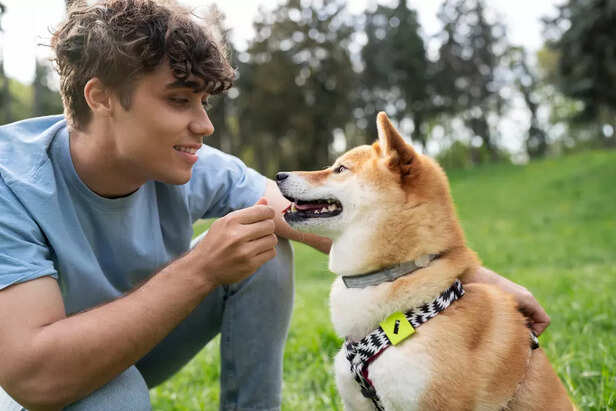 Dogs Use Scent to Communi