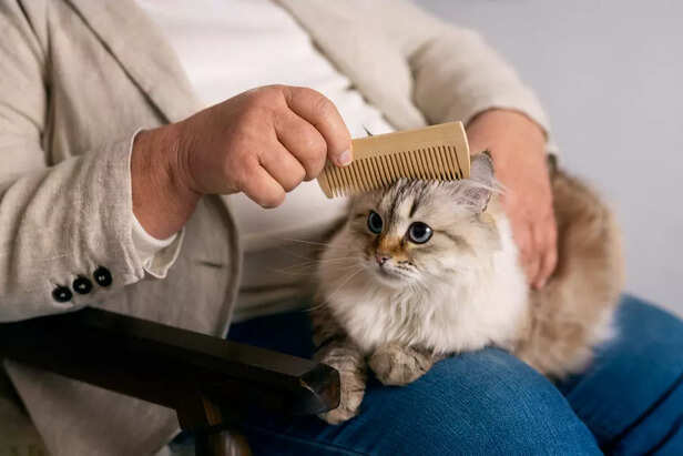 Cats are natural-born gro