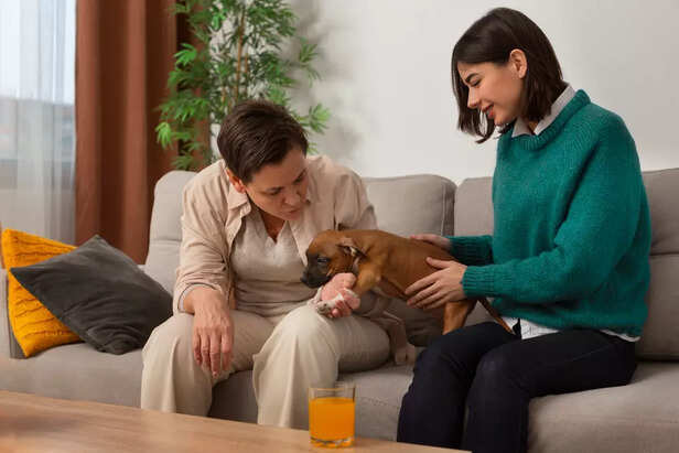 Understanding Your Dog’s 