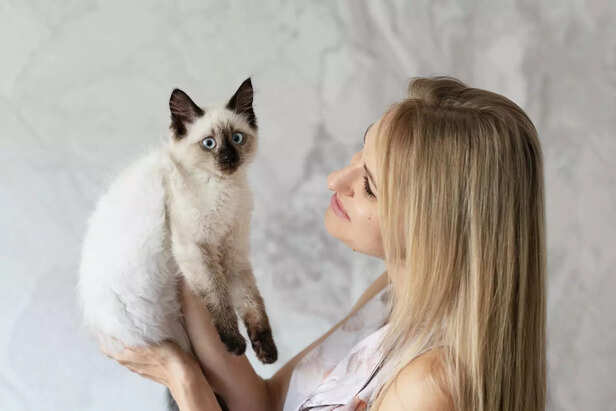 Hypoallergenic cat