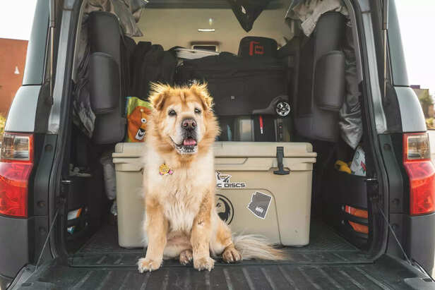 Ready for the Road