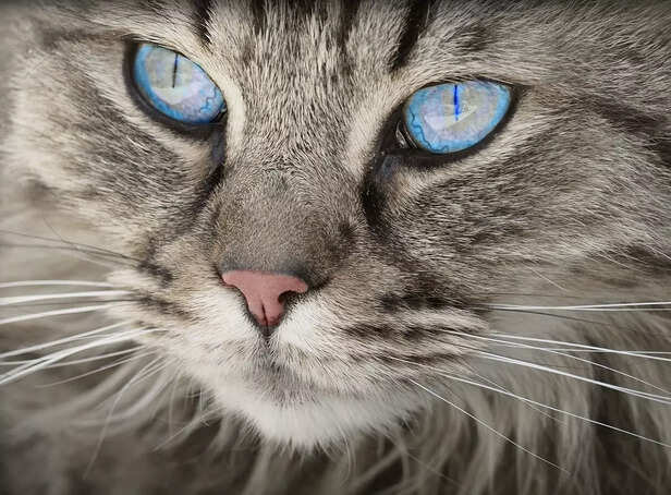beyond natural