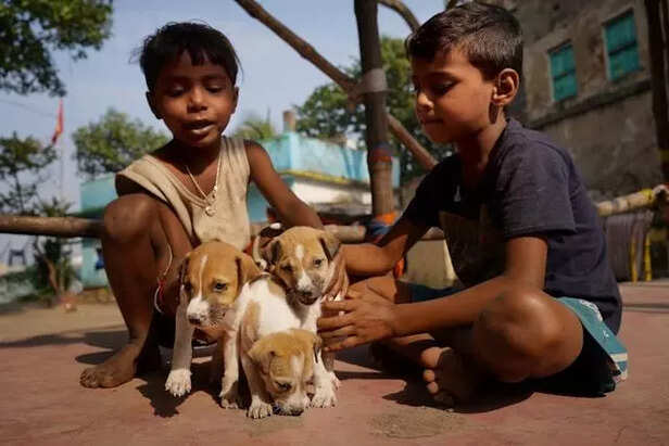 A group of boys with pupp