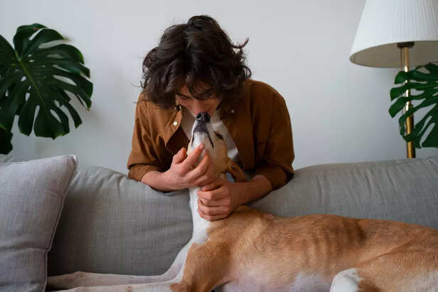 Your Dog Might Be Emotion