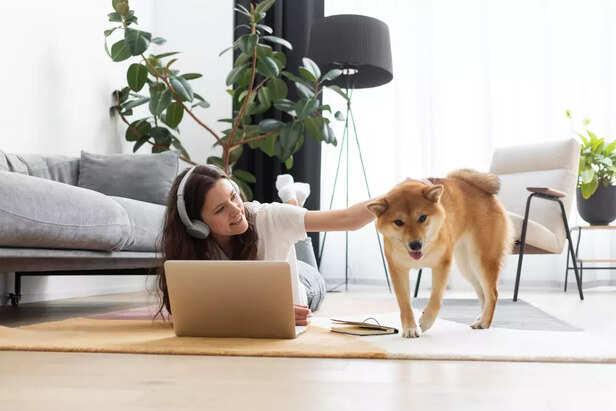 Your Home Environment Inf