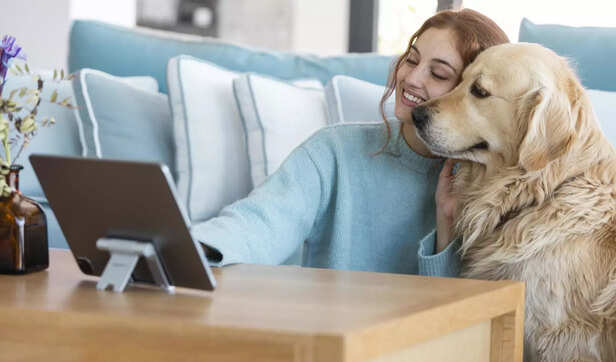 Pet insurance can save lo