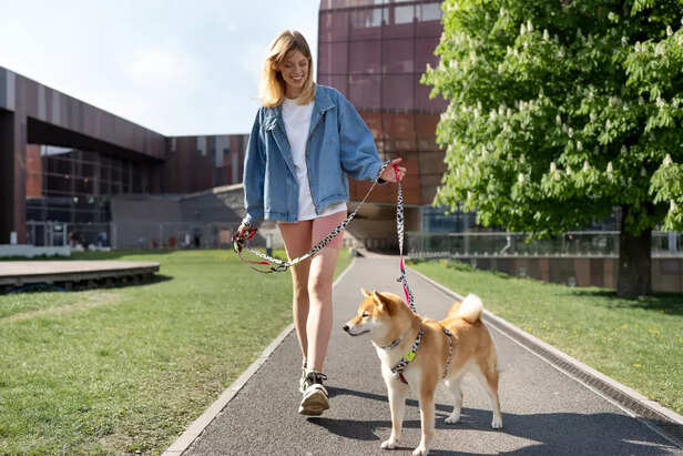 Leashes Are Not Enough Wi