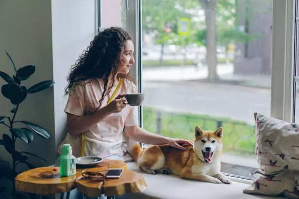 Pet cafe