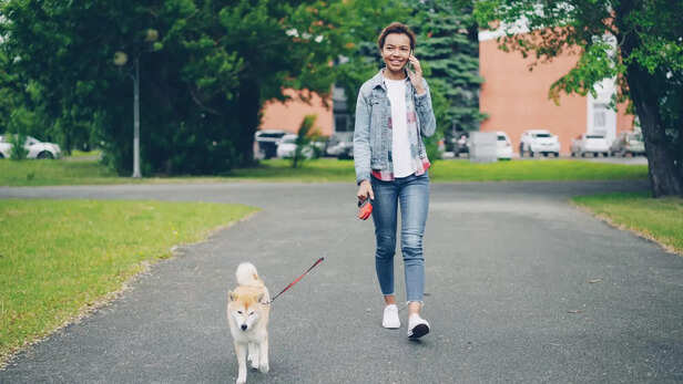 Daily Joy Walk
