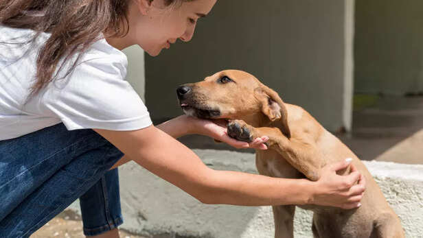 Adopting a pet saves live