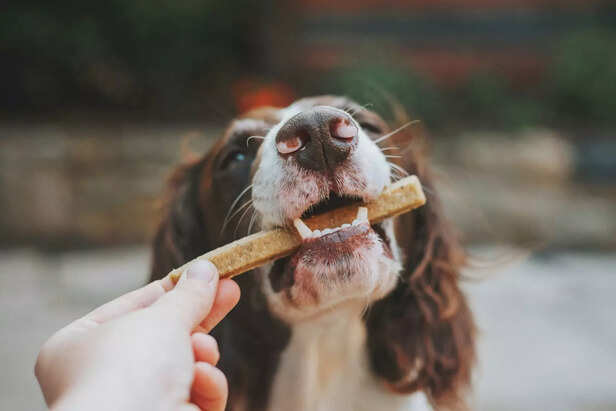 Snack Time Goals