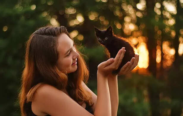 Adopt stary cats, do not 