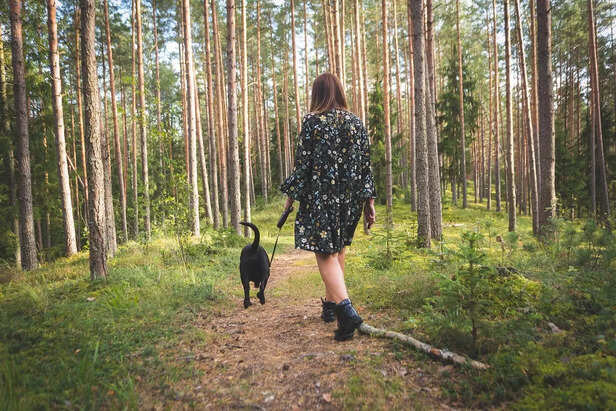 dogwalking
