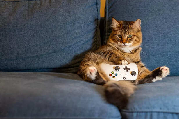 not on couch