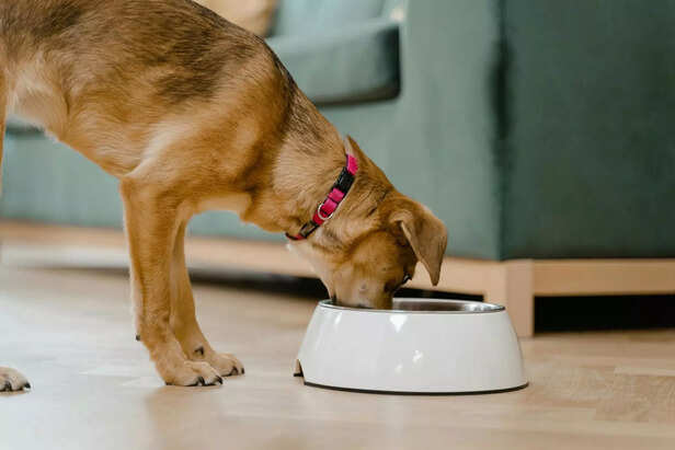 table manners