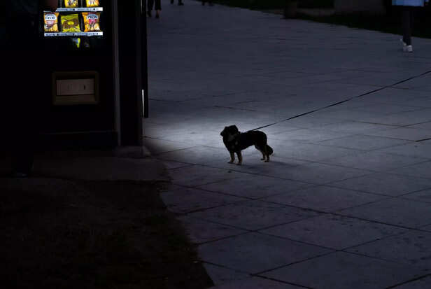 A Lone Watch in the Night