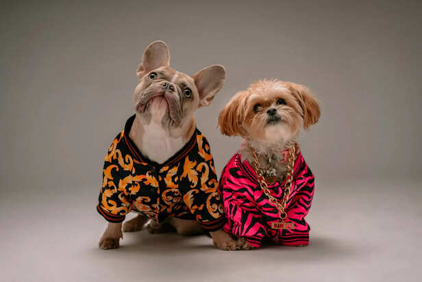 Fashionable Companions at