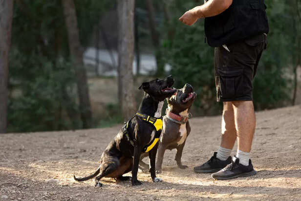 Training session