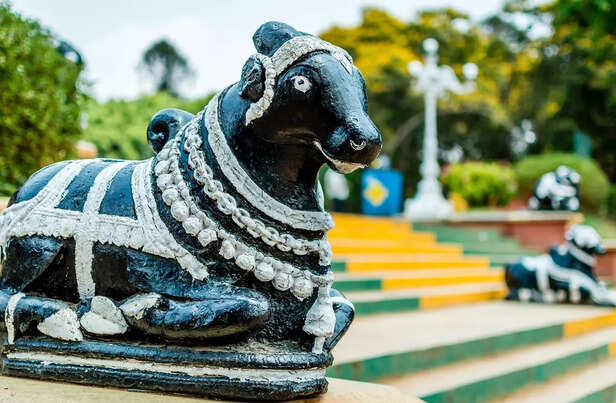 Majestic bull, the gate k